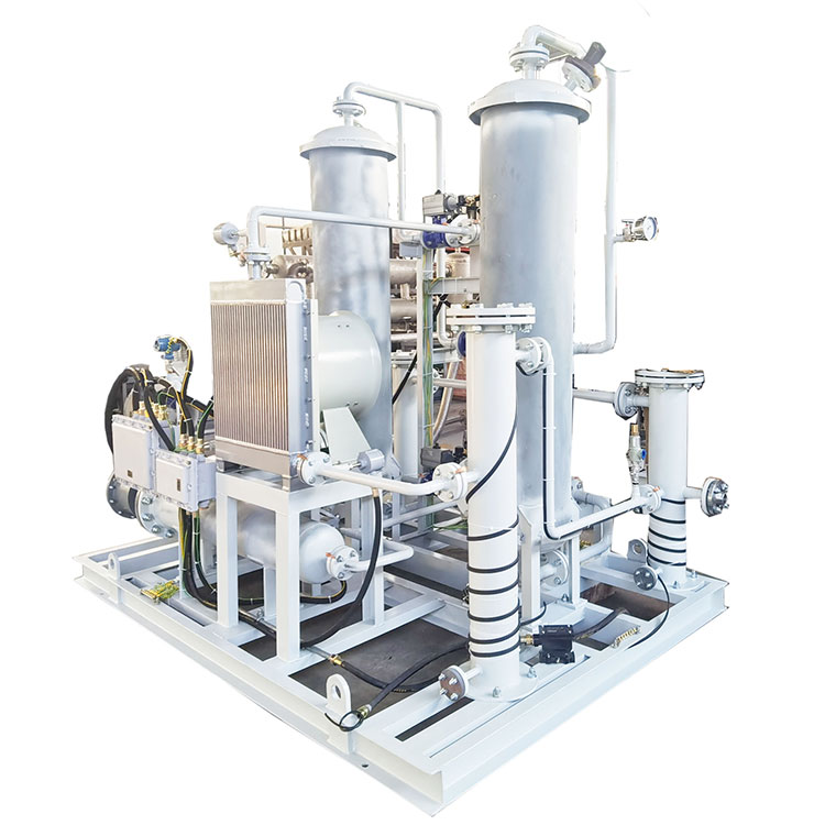 Natural Gas Dehydration and Desulfurization Skid